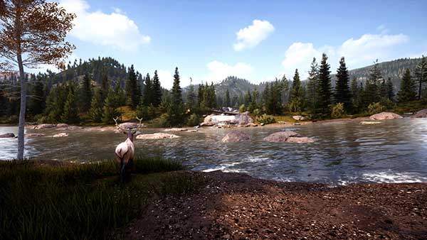 خرید بازی Hunting Simulator 2 برای ps5